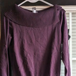 Ann Taylor sweater